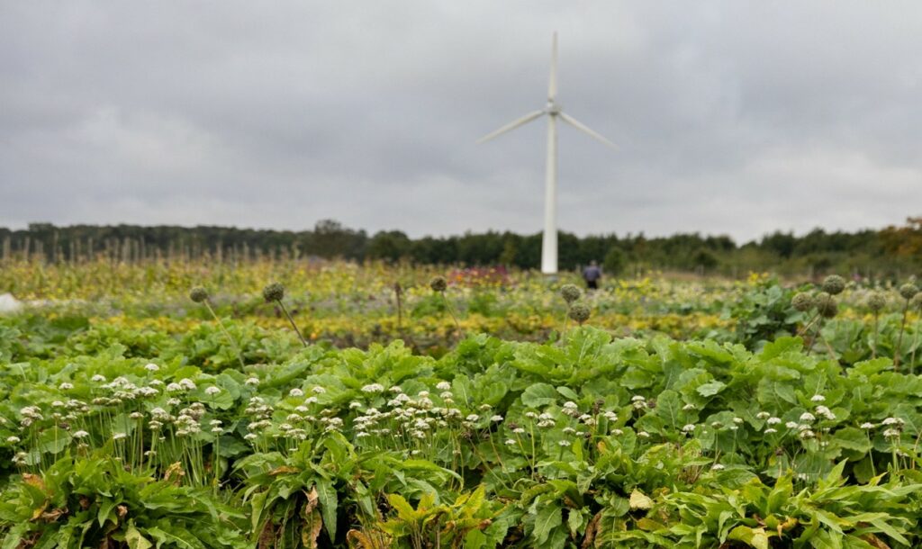 Photo: A wind turbine supplying the Permatopia community’s needs